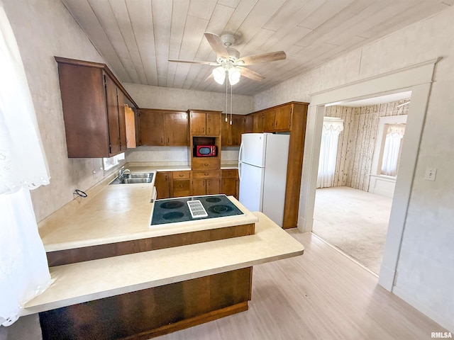 202 Flora Ave, Flora, IL 62839 - kitchen featuring stovetop with downdraft, freestanding refrigerator, light countertops, a ceiling fan, and light wood-style flooring