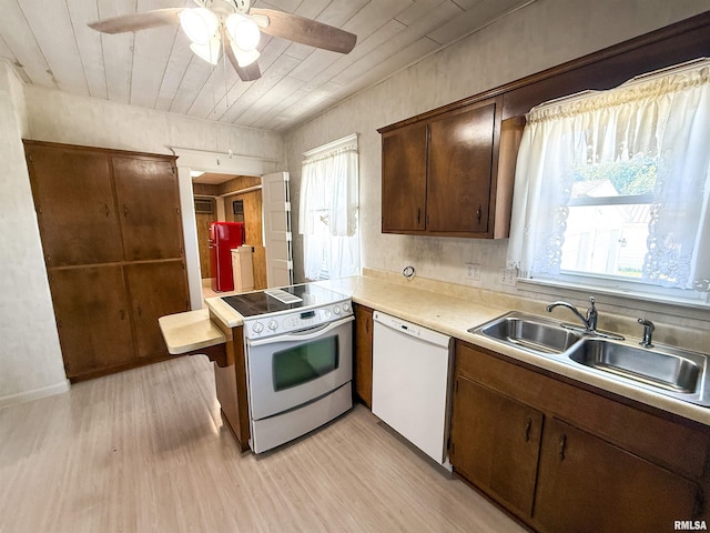 202 Flora Ave, Flora, IL 62839 - kitchen with white appliances, plenty of natural light, light wood finished floors, wood ceiling, and light countertops