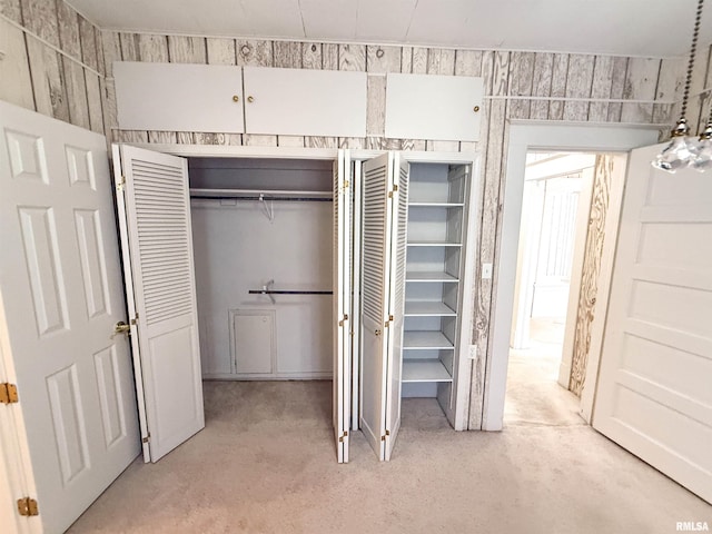 202 Flora Ave, Flora, IL 62839 - view of closet