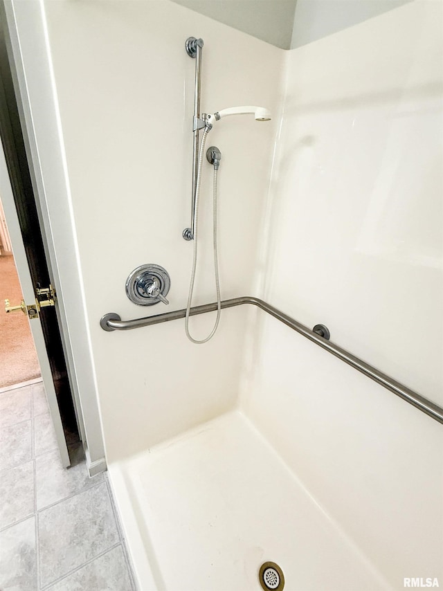 202 Flora Ave, Flora, IL 62839 - bathroom view of a shower