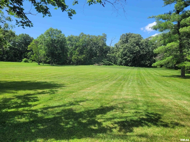 11968 E Goshen Meadows Rd, Mount Vernon, IL 62864 - view of green lawn