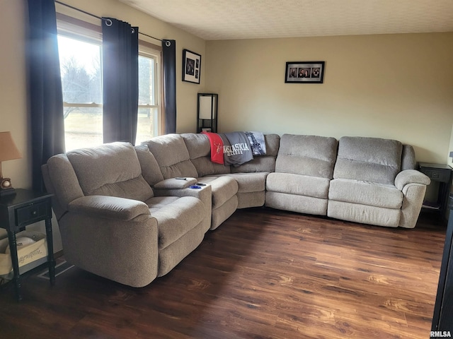 11968 E Goshen Meadows Rd, Mount Vernon, IL 62864 - living room with dark wood-style floors