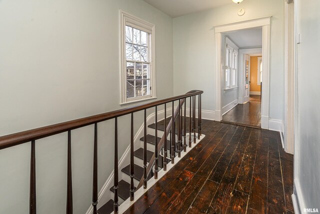 509 W Main St, Carbondale, IL 62901 - photo 21