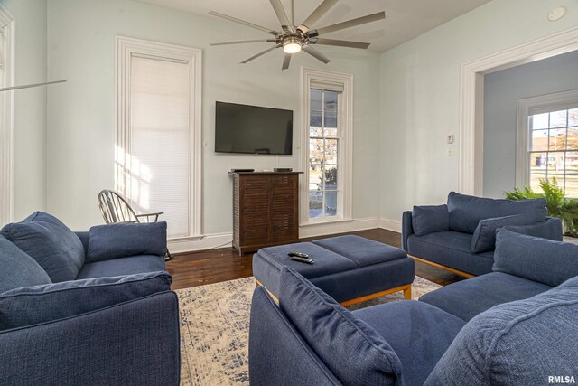 509 W Main St, Carbondale, IL 62901 - photo 5