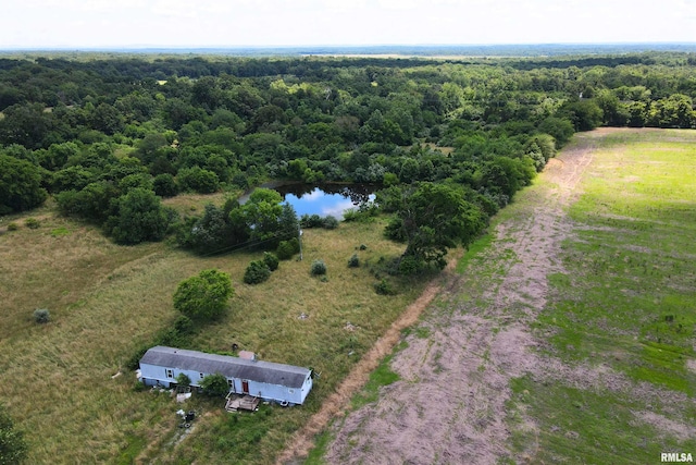 22741 Galatia Post Rd, Pittsburg, IL 62974 - photo 3