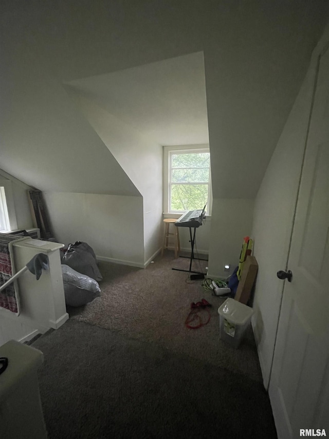 906 S Elizabeth St, Carbondale, IL 62901 - photo 26