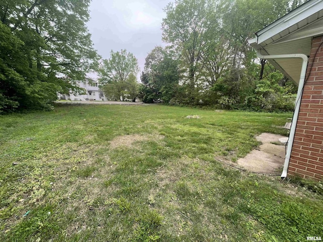 703 W High St, Carbondale, IL 62901 - view of green lawn
