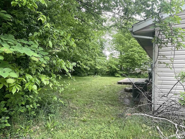 408 W Chestnut St, Carbondale, IL 62901 - photo 4