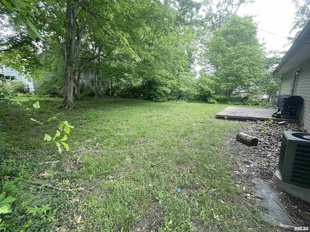 408 W Chestnut St, Carbondale, IL 62901 - photo 5