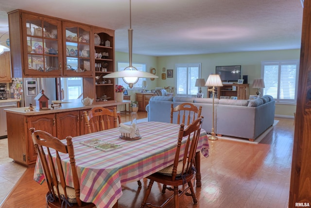 1382 Nicklaus Ln, Marion, IL 62959 - dining area with healthy amount of natural light and light wood-style flooring