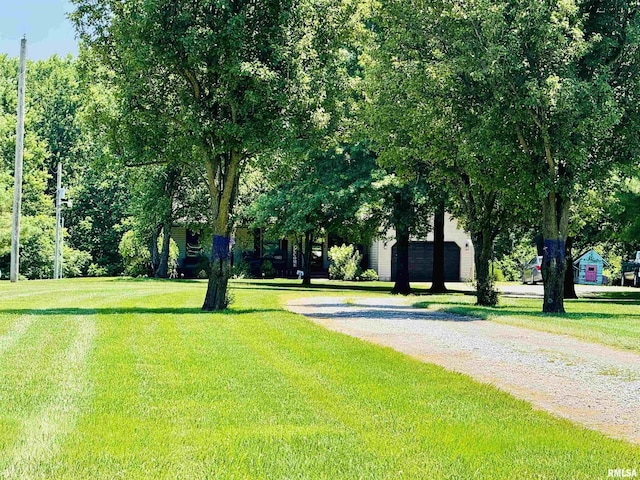 348 Medlin Rd, Walnut Hill, IL 62893 - view of home's community with gravel driveway and a lawn