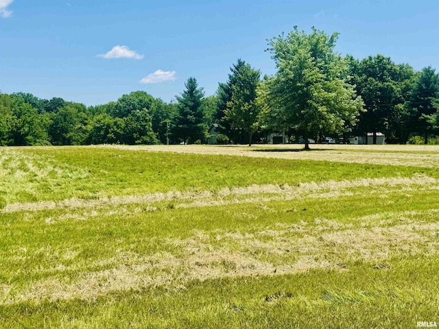 348 Medlin Rd, Walnut Hill, IL 62893 - view of green lawn