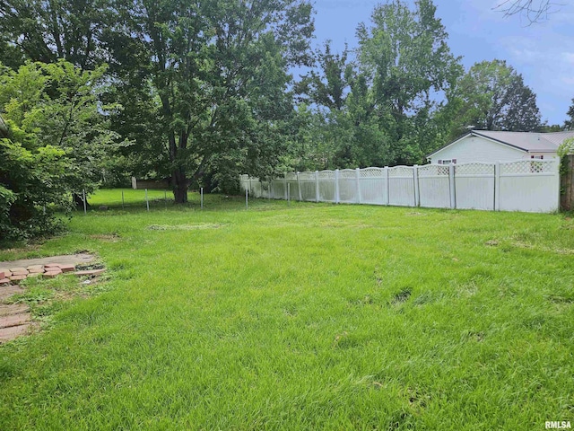 1605 E Pickett Ln, Marion, IL 62959 - view of yard