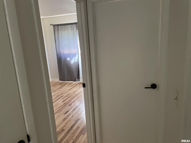 304 S Plover Dr, Carbondale, IL 62901 - hallway with light wood-style flooring