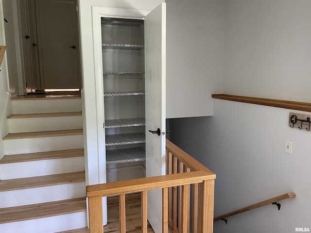304 S Plover Dr, Carbondale, IL 62901 - view of staircase