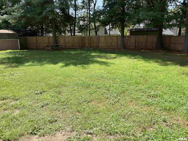 304 S Plover Dr, Carbondale, IL 62901 - view of yard