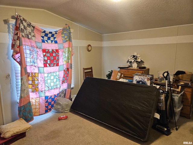 120 E 1st St, Bonnie, IL 62816 - carpeted bedroom with vaulted ceiling and a textured ceiling