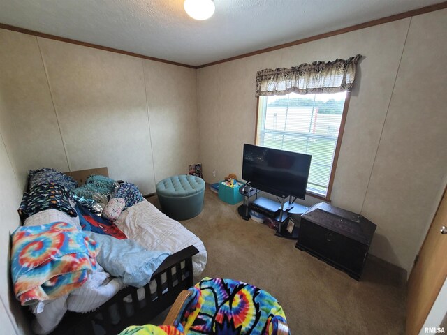 9105 Burkett Rd, Iuka, IL 62849 - photo 22