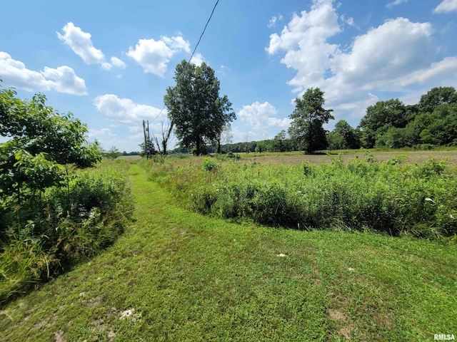 9105 Burkett Rd, Iuka, IL 62849 - photo 34