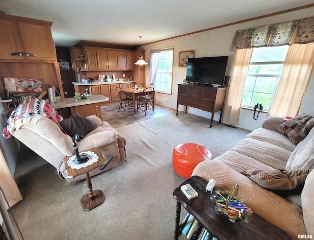 9105 Burkett Rd, Iuka, IL 62849 - photo 6