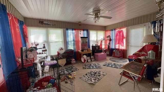 902 N Buchanan St, Benton, IL 62812 - sunroom / solarium featuring healthy amount of natural light