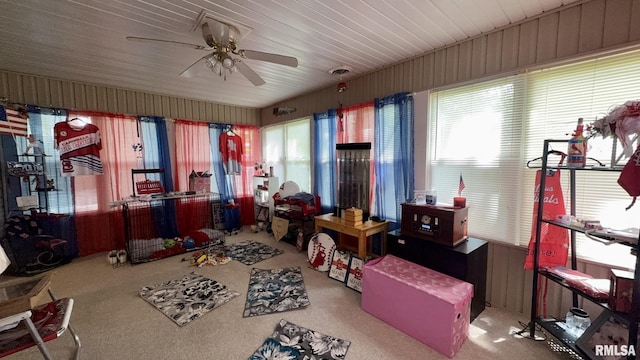 902 N Buchanan St, Benton, IL 62812 - sunroom with plenty of natural light