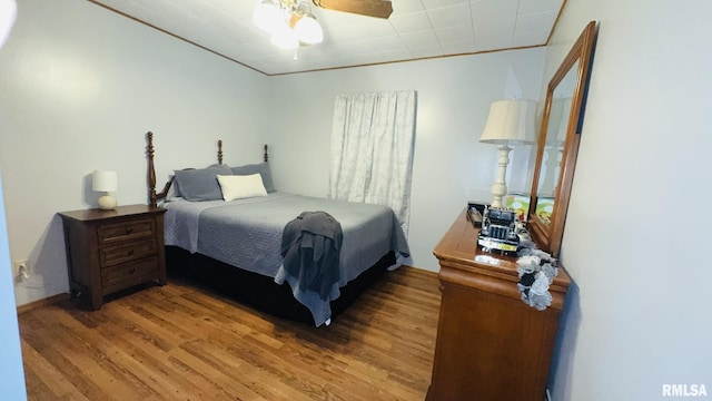 13919 Hamilton Pike Rd, Whittington, IL 62897 - bedroom featuring light wood-style floors and ceiling fan