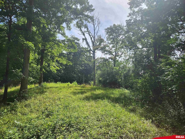 12326 N Ring Ln, Woodlawn, IL 62894