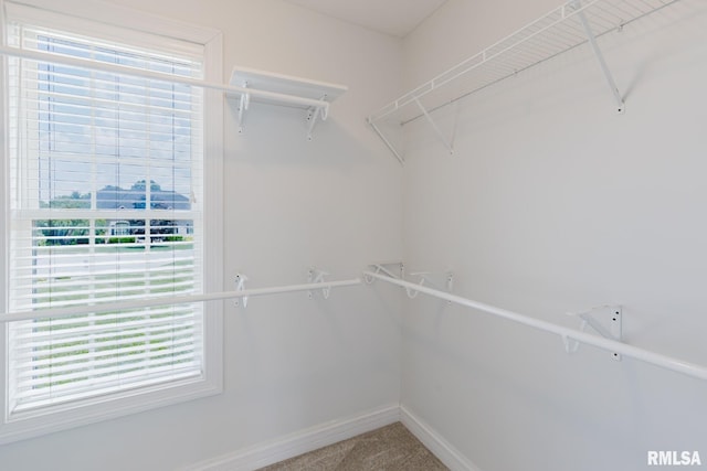 1506 Gleneagle Dr, Marion, IL 62959 - walk in closet featuring carpet