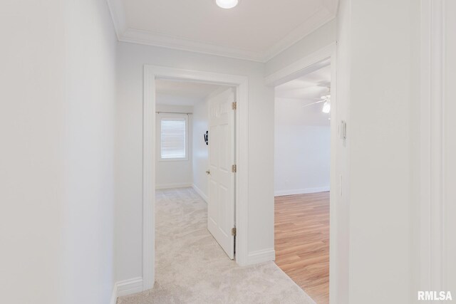 1506 Gleneagle Dr, Marion, IL 62959 - corridor featuring ornamental molding and light carpet