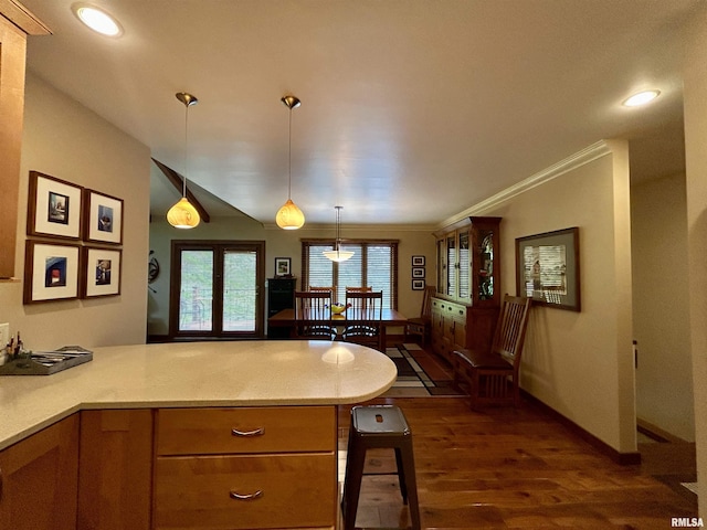 304 May Apple Ln, Carbondale, IL 62903 - kitchen with a peninsula, dark wood-style flooring, light countertops, hanging light fixtures, and crown molding