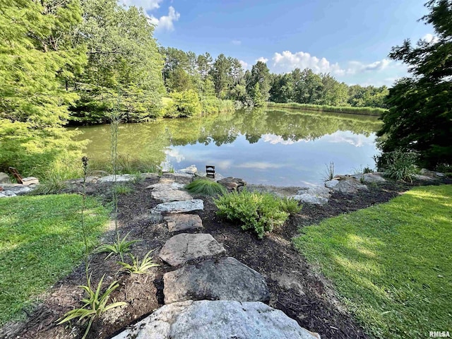 304 May Apple Ln, Carbondale, IL 62903 - water view featuring a forest