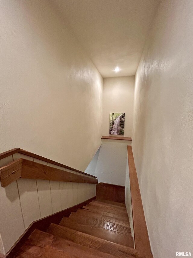 304 May Apple Ln, Carbondale, IL 62903 - view of staircase