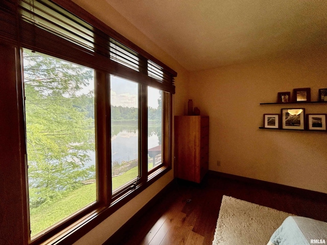 304 May Apple Ln, Carbondale, IL 62903 - sunroom featuring plenty of natural light