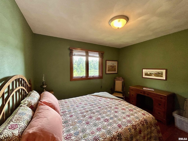 304 May Apple Ln, Carbondale, IL 62903 - view of bedroom