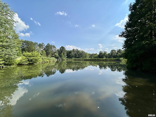 304 May Apple Ln, Carbondale, IL 62903 - water view featuring a forest