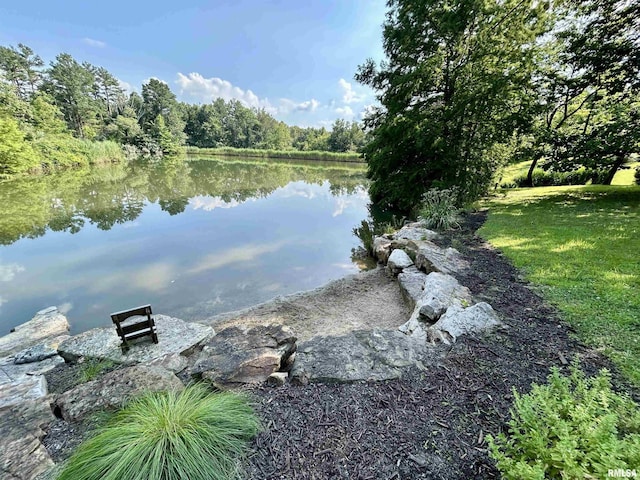 304 May Apple Ln, Carbondale, IL 62903 - water view featuring a forest