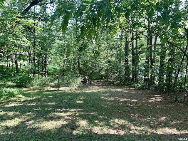 304 May Apple Ln, Carbondale, IL 62903 - view of yard featuring a view of trees