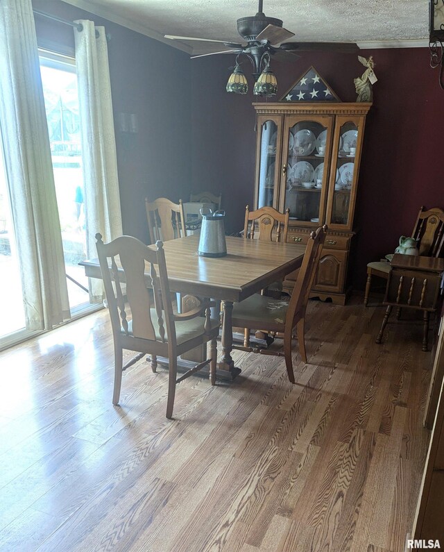 258 N Dutton Dr, Elizabethtown, IL 62931 - photo 9