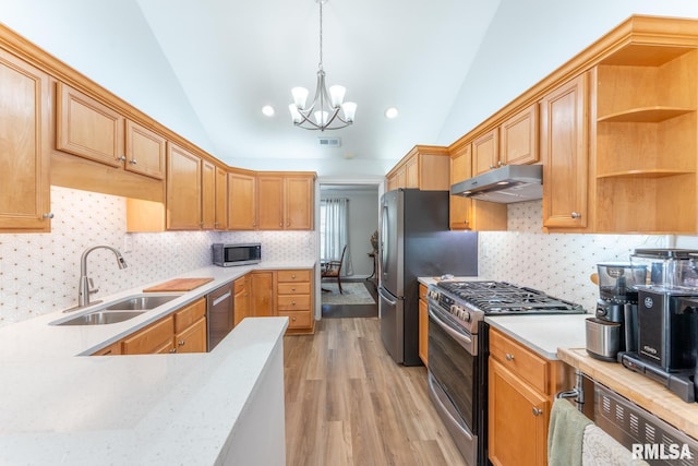 1600 S Eugene Ln, Marion, IL 62959 - kitchen with appliances with stainless steel finishes, under cabinet range hood, vaulted ceiling, a chandelier, and light wood-type flooring