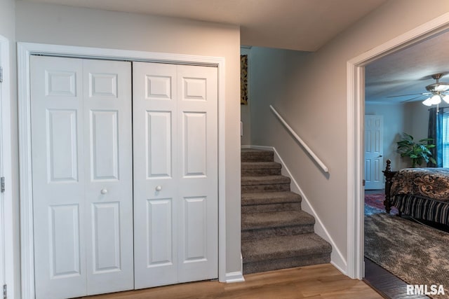 1600 S Eugene Ln, Marion, IL 62959 - stairs with ceiling fan and wood finished floors