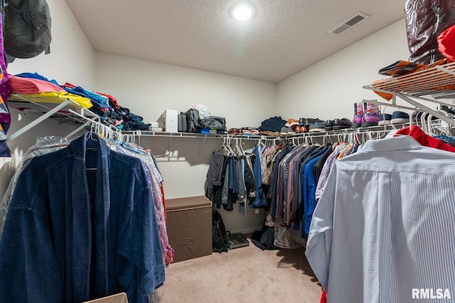 1600 S Eugene Ln, Marion, IL 62959 - walk in closet with carpet