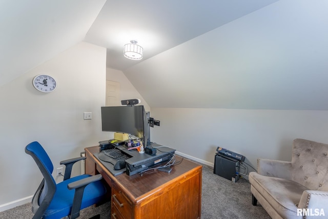1600 S Eugene Ln, Marion, IL 62959 - home office featuring carpet and vaulted ceiling