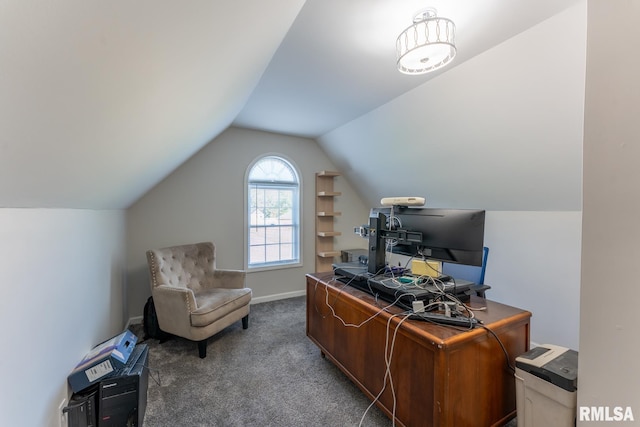 1600 S Eugene Ln, Marion, IL 62959 - office space featuring carpet floors and vaulted ceiling