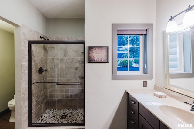 3525 Parrish Ridge Ln, Goreville, IL 62939 - bathroom with a shower stall and vanity