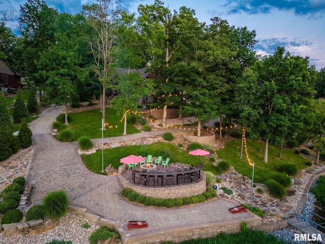 3525 Parrish Ridge Ln, Goreville, IL 62939 - view of yard