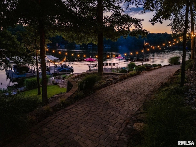 3525 Parrish Ridge Ln, Goreville, IL 62939 - view of home's community featuring a water view and a boat dock