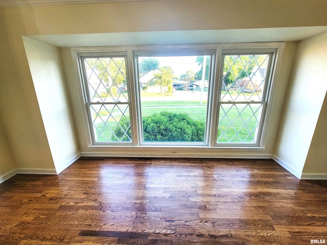 119 S 6th St SE, Clay City, IL 62824 - unfurnished room featuring plenty of natural light and dark wood-style floors
