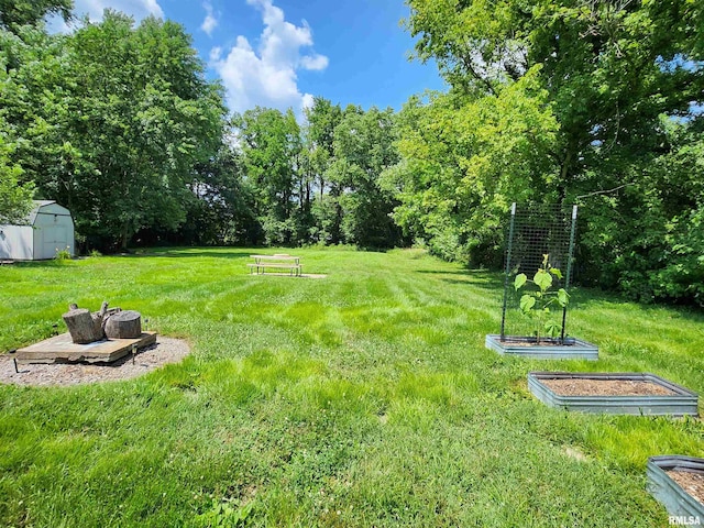 820 Airport Rd, Mount Vernon, IL 62864 - photo 22