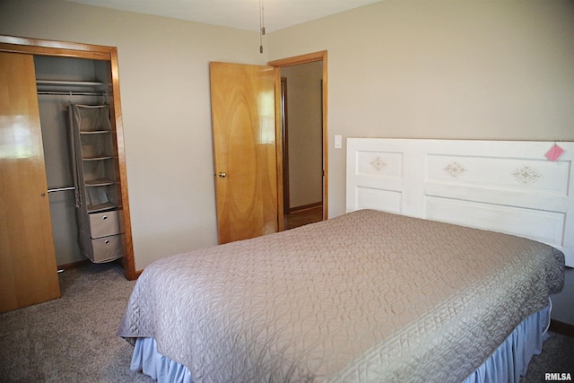 203 Skyline Dr, Marion, IL 62959 - carpeted bedroom with a closet
